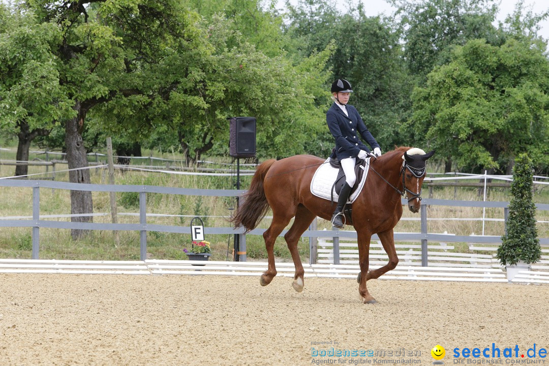 Reitturnier-Ueberlingen-28-06-2014-Bodensee-Community-SEECHAT_DE-IMG_5034.JPG