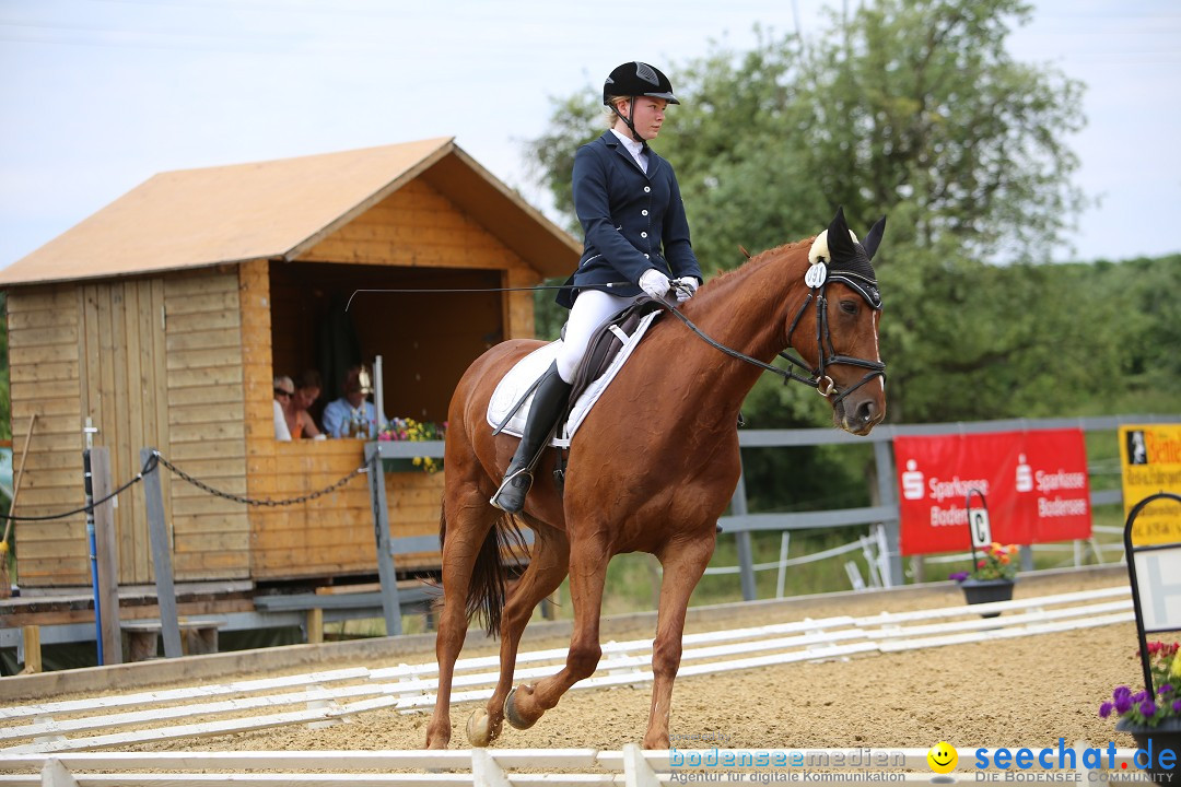 Reitturnier-Ueberlingen-28-06-2014-Bodensee-Community-SEECHAT_DE-IMG_5039.JPG