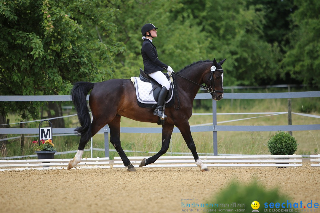 Reitturnier-Ueberlingen-28-06-2014-Bodensee-Community-SEECHAT_DE-IMG_5041.JPG