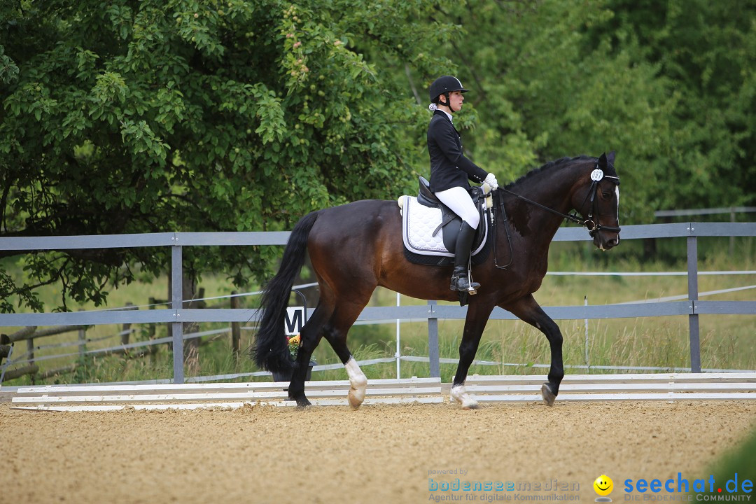 Reitturnier-Ueberlingen-28-06-2014-Bodensee-Community-SEECHAT_DE-IMG_5043.JPG