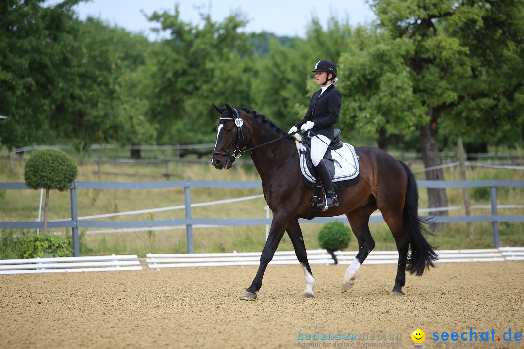 Reitturnier-Ueberlingen-28-06-2014-Bodensee-Community-SEECHAT_DE-IMG_5045.JPG