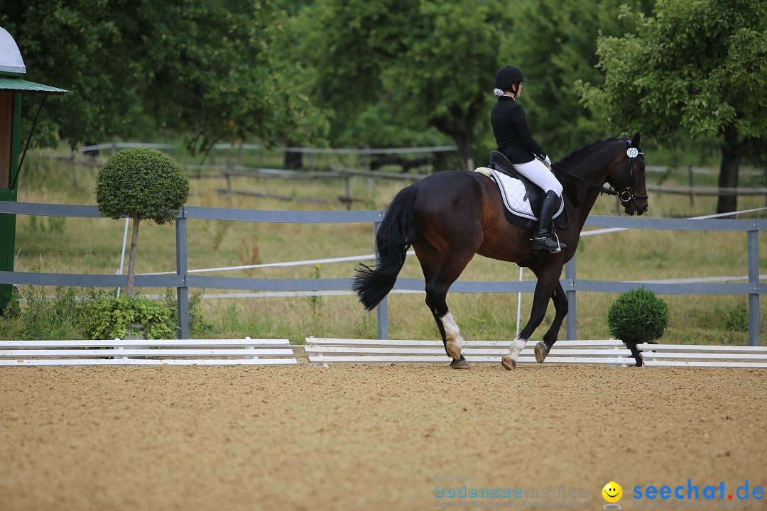 Reitturnier-Ueberlingen-28-06-2014-Bodensee-Community-SEECHAT_DE-IMG_5050.JPG