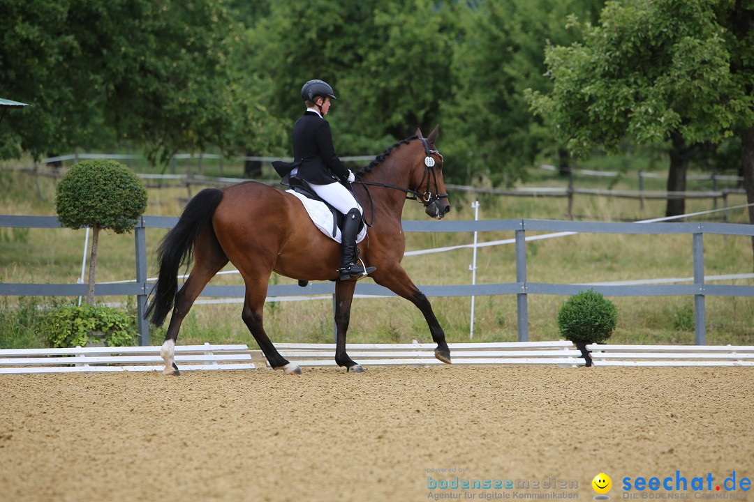 Reitturnier-Ueberlingen-28-06-2014-Bodensee-Community-SEECHAT_DE-IMG_5065.JPG