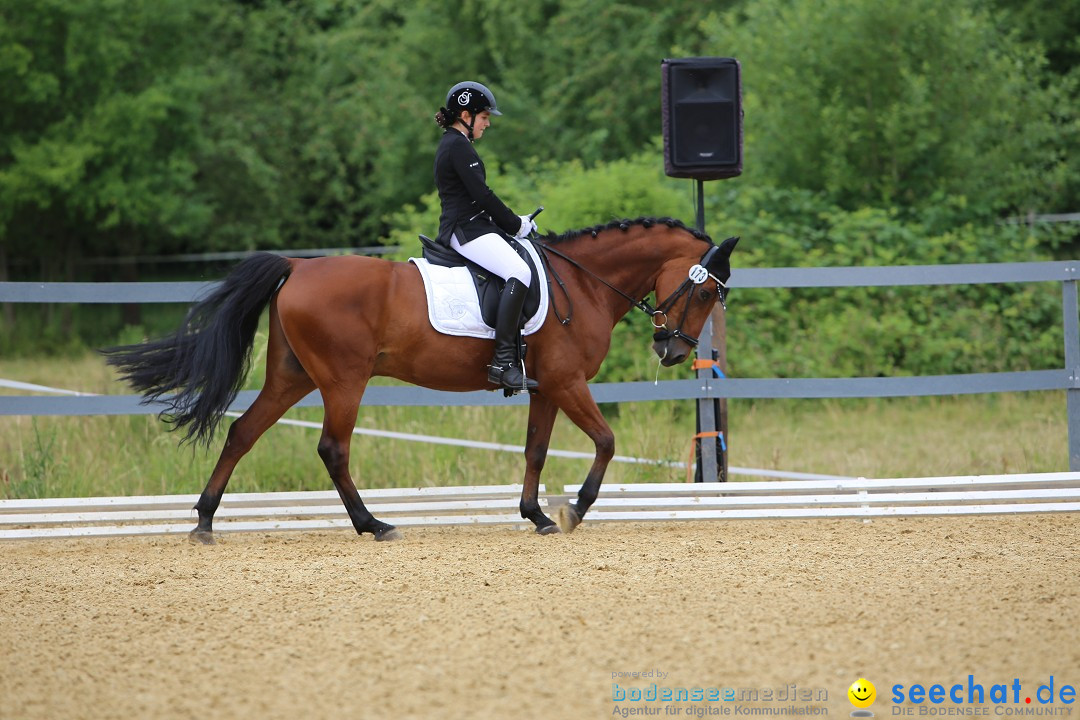 Reitturnier-Ueberlingen-28-06-2014-Bodensee-Community-SEECHAT_DE-IMG_5072.JPG