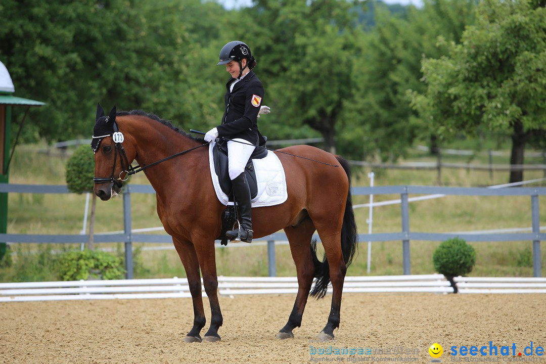 Reitturnier-Ueberlingen-28-06-2014-Bodensee-Community-SEECHAT_DE-IMG_5076.JPG