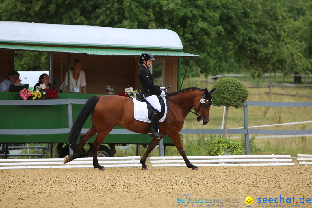 Reitturnier-Ueberlingen-28-06-2014-Bodensee-Community-SEECHAT_DE-IMG_5080.JPG