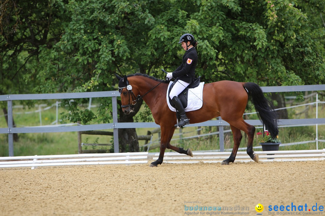 Reitturnier-Ueberlingen-28-06-2014-Bodensee-Community-SEECHAT_DE-IMG_5081.JPG