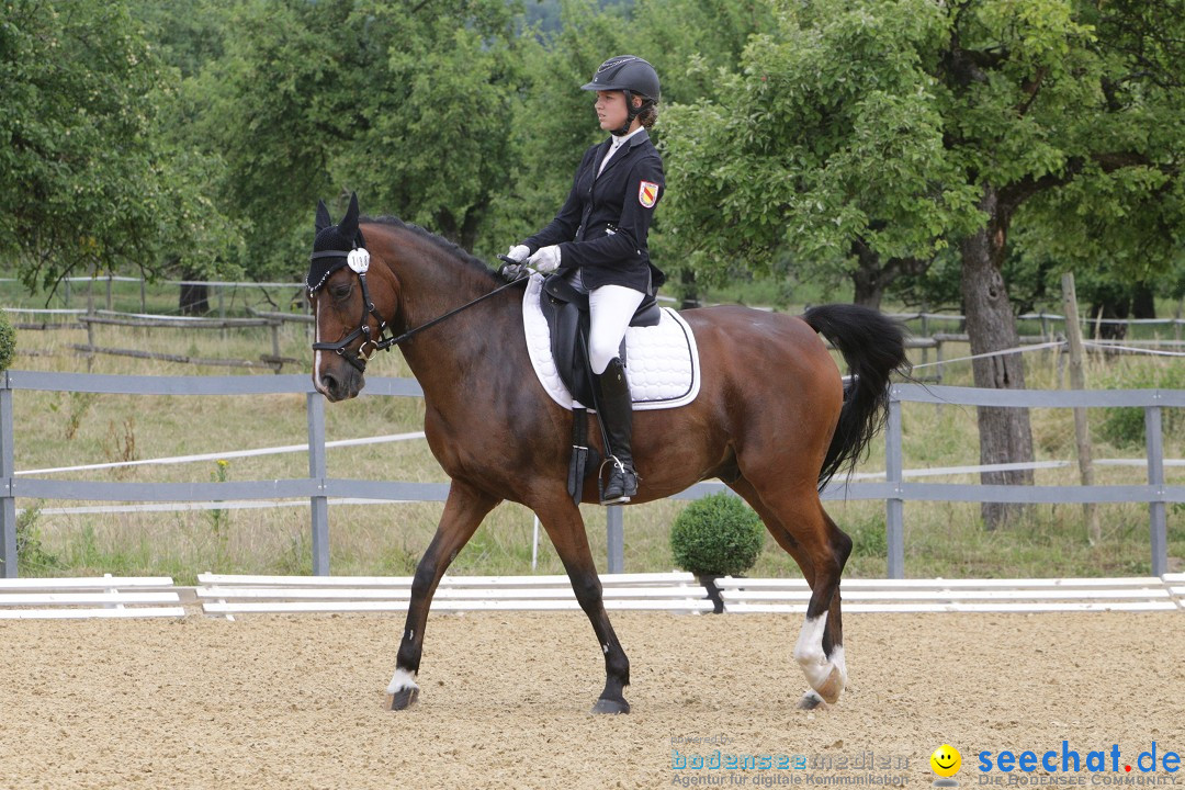 Reitturnier-Ueberlingen-28-06-2014-Bodensee-Community-SEECHAT_DE-IMG_5096.JPG