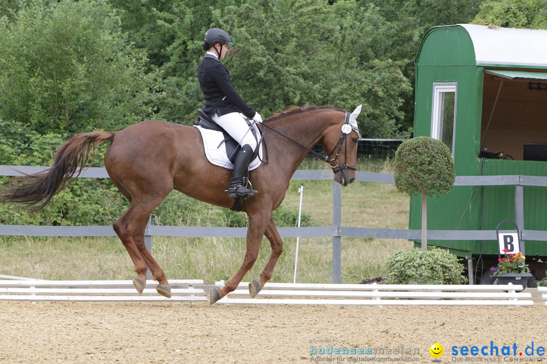 Reitturnier-Ueberlingen-28-06-2014-Bodensee-Community-SEECHAT_DE-IMG_5111.JPG