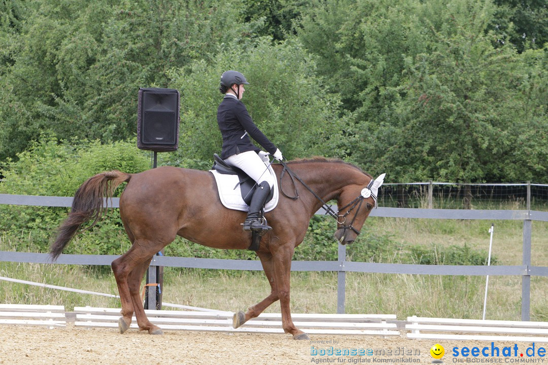 Reitturnier-Ueberlingen-28-06-2014-Bodensee-Community-SEECHAT_DE-IMG_5116.JPG