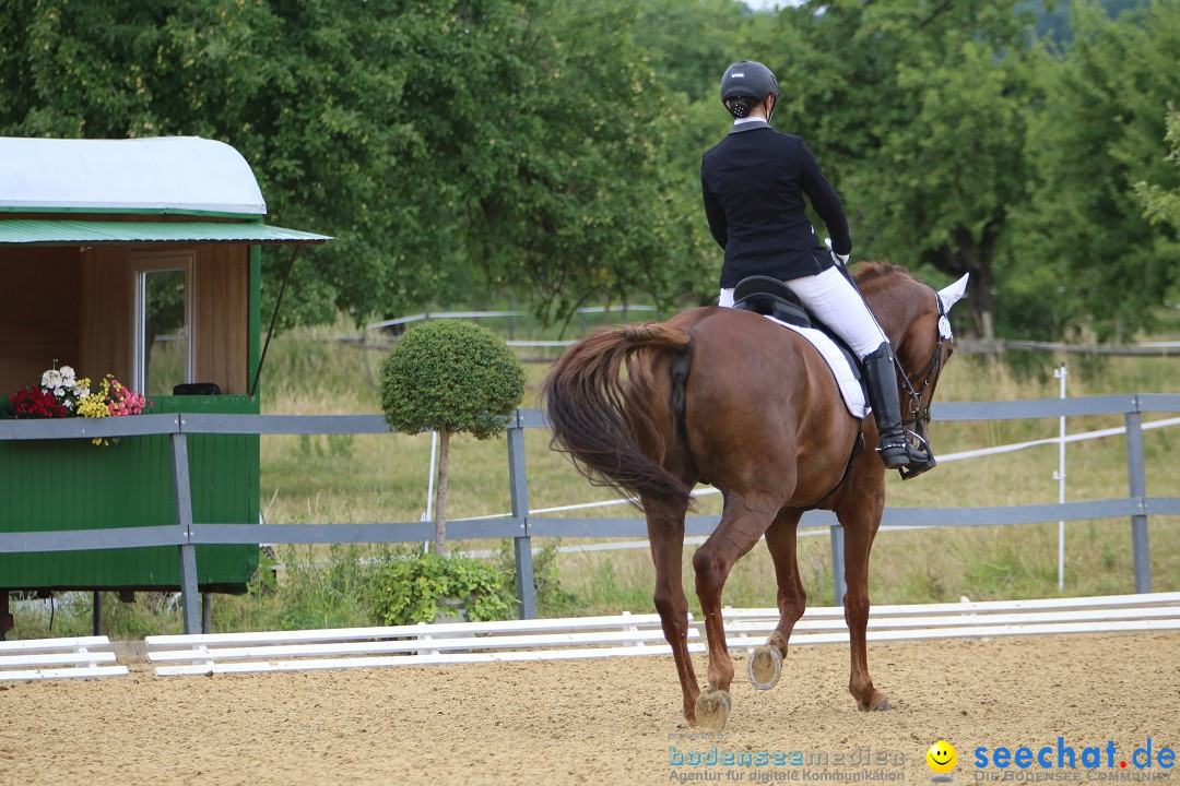 Reitturnier-Ueberlingen-28-06-2014-Bodensee-Community-SEECHAT_DE-IMG_5128.JPG