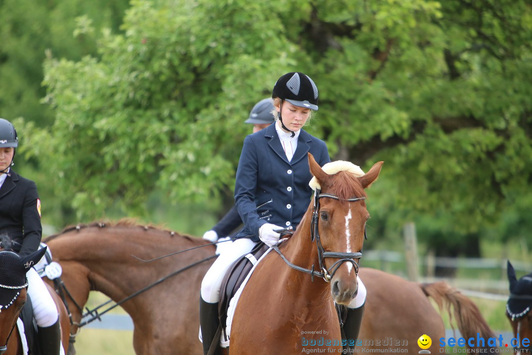 Reitturnier-Ueberlingen-28-06-2014-Bodensee-Community-SEECHAT_DE-IMG_5136.JPG