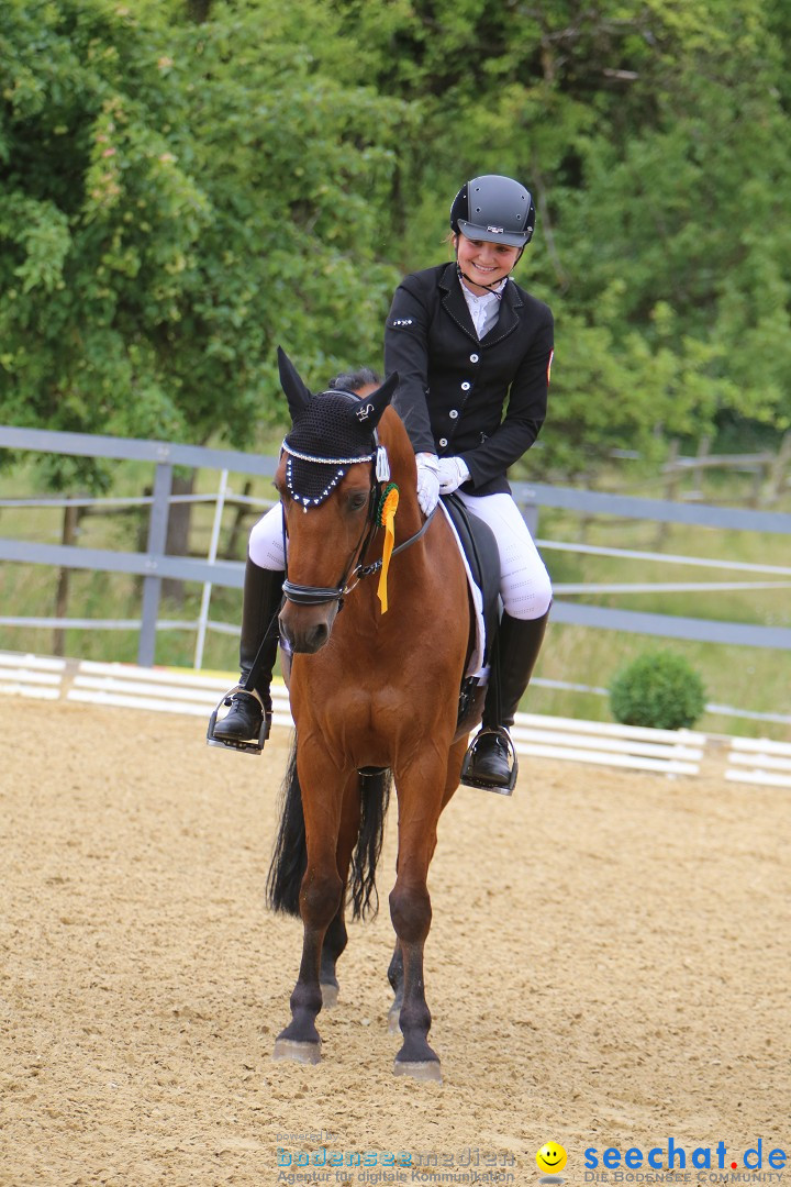 Reitturnier-Ueberlingen-28-06-2014-Bodensee-Community-SEECHAT_DE-IMG_5157.JPG