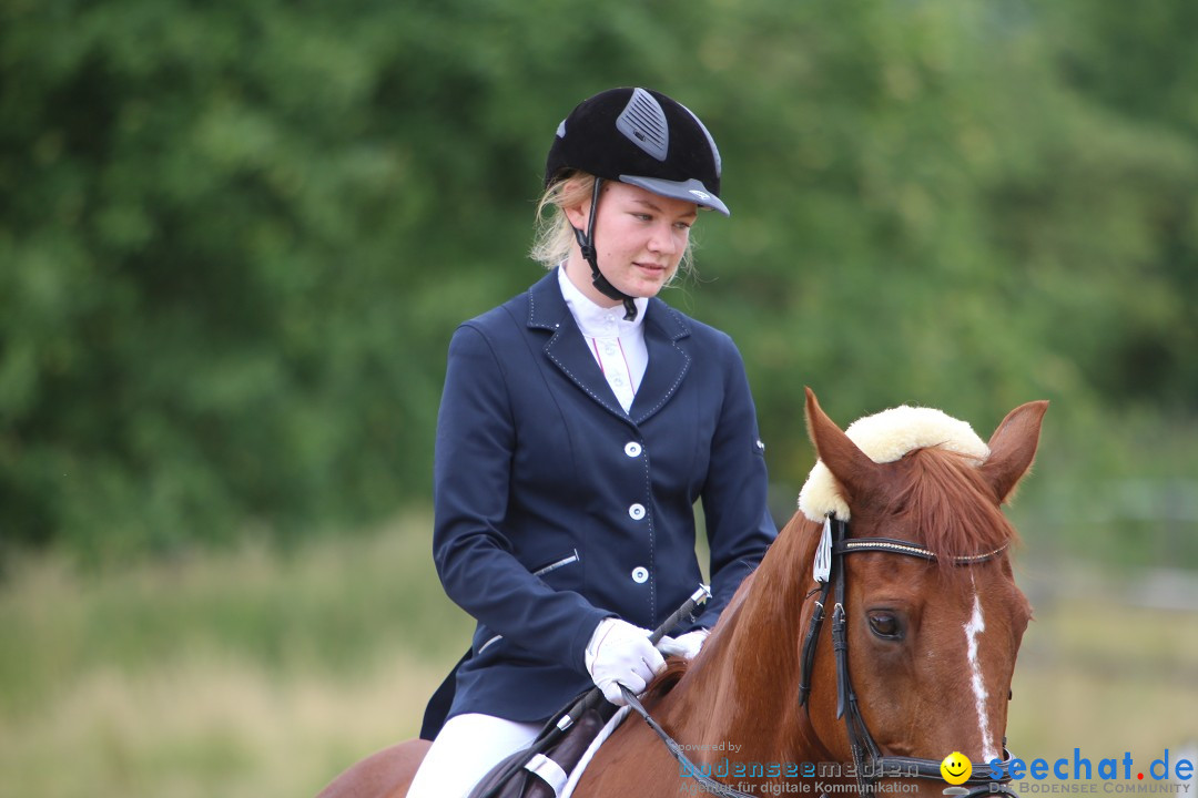 Reitturnier-Ueberlingen-28-06-2014-Bodensee-Community-SEECHAT_DE-IMG_5166.JPG