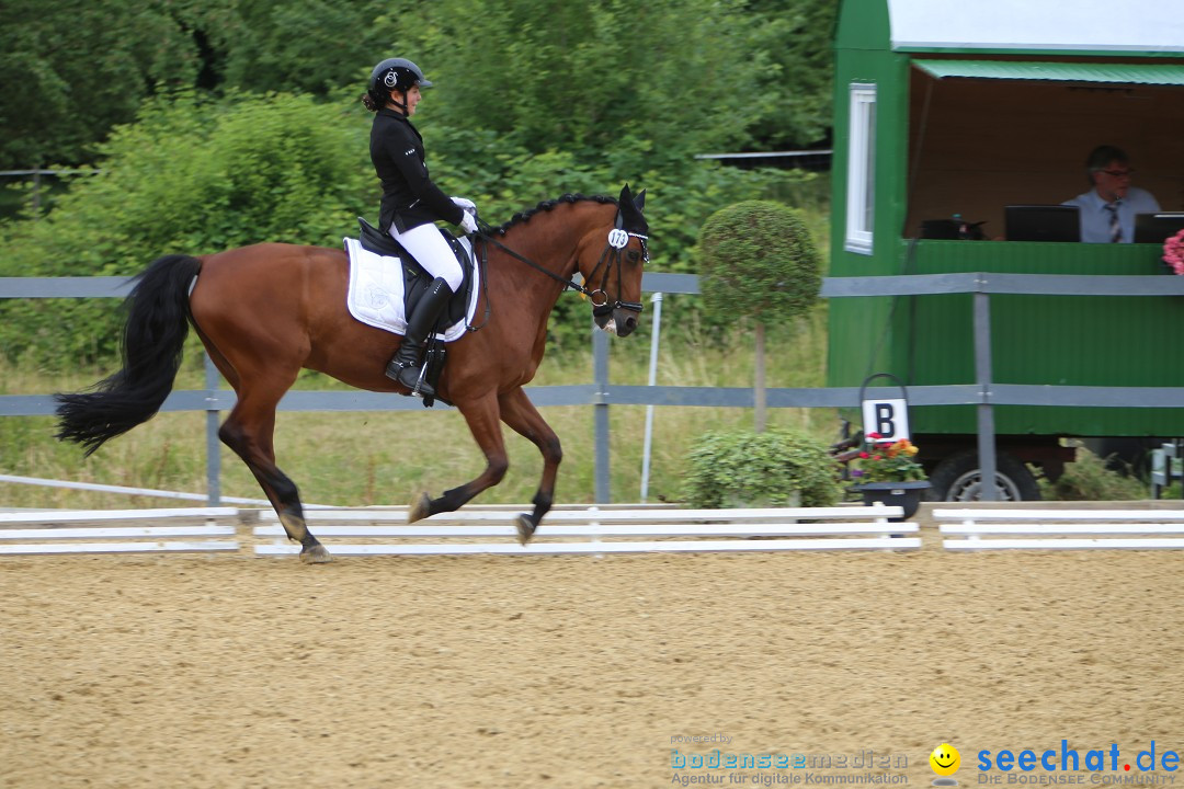 Reitturnier-Ueberlingen-28-06-2014-Bodensee-Community-SEECHAT_DE-IMG_5183.JPG