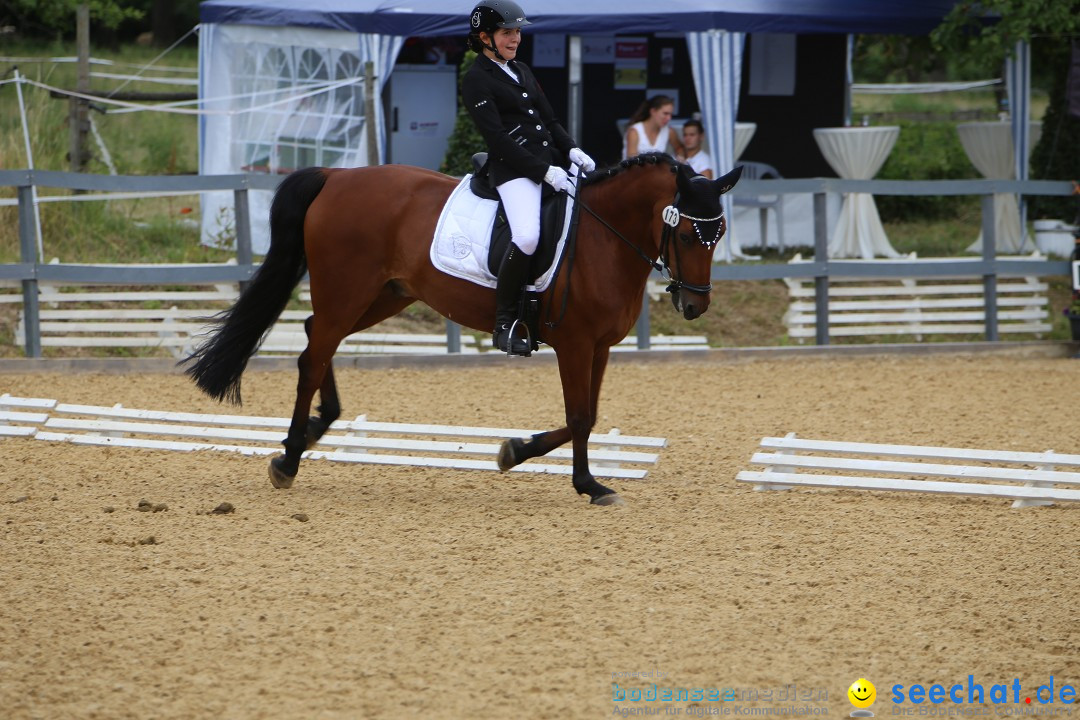 Reitturnier-Ueberlingen-28-06-2014-Bodensee-Community-SEECHAT_DE-IMG_5184.JPG