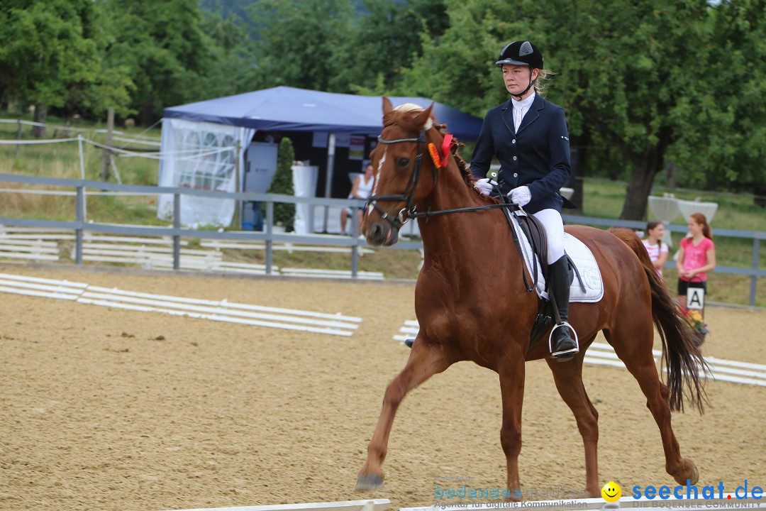 Reitturnier-Ueberlingen-28-06-2014-Bodensee-Community-SEECHAT_DE-IMG_5185.JPG