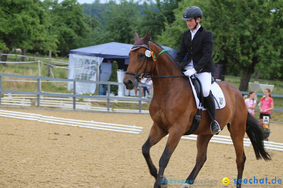 Reitturnier-Ueberlingen-28-06-2014-Bodensee-Community-SEECHAT_DE-IMG_5188.JPG