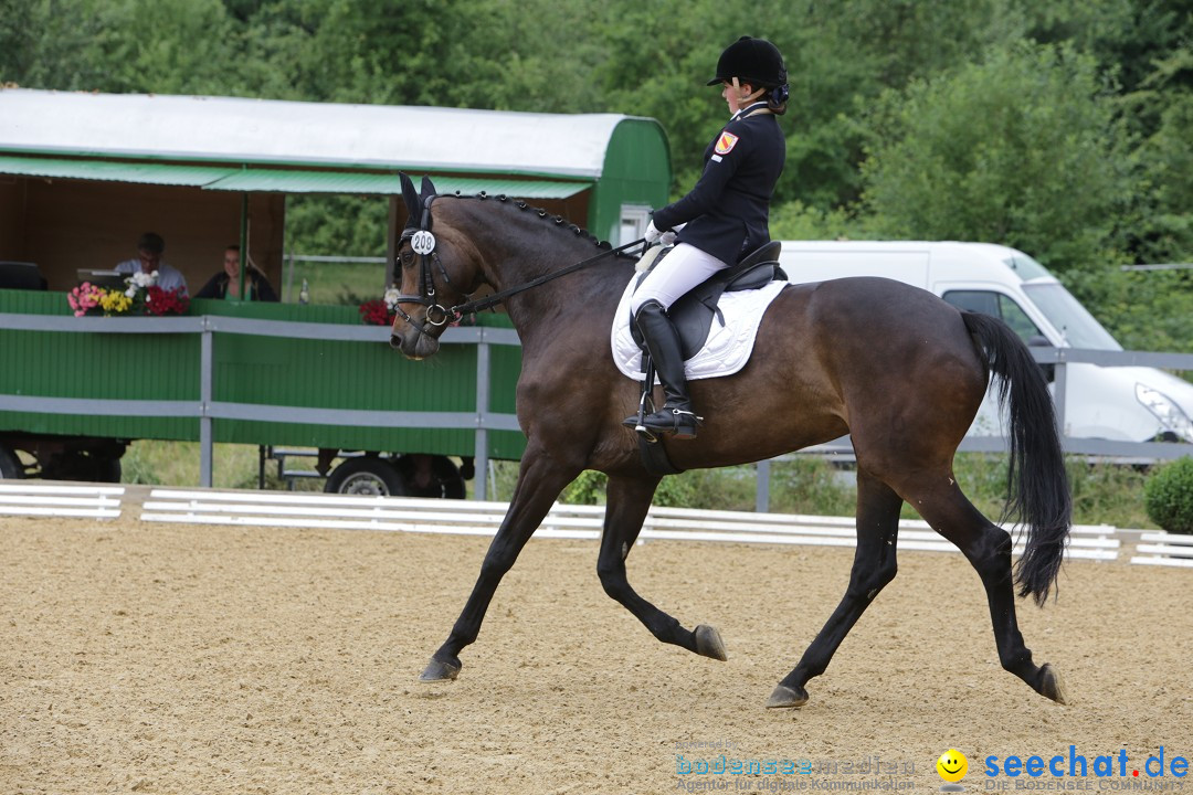 Reitturnier-Ueberlingen-28-06-2014-Bodensee-Community-SEECHAT_DE-IMG_5237.JPG