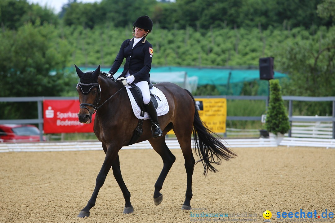 Reitturnier-Ueberlingen-28-06-2014-Bodensee-Community-SEECHAT_DE-IMG_5245.JPG