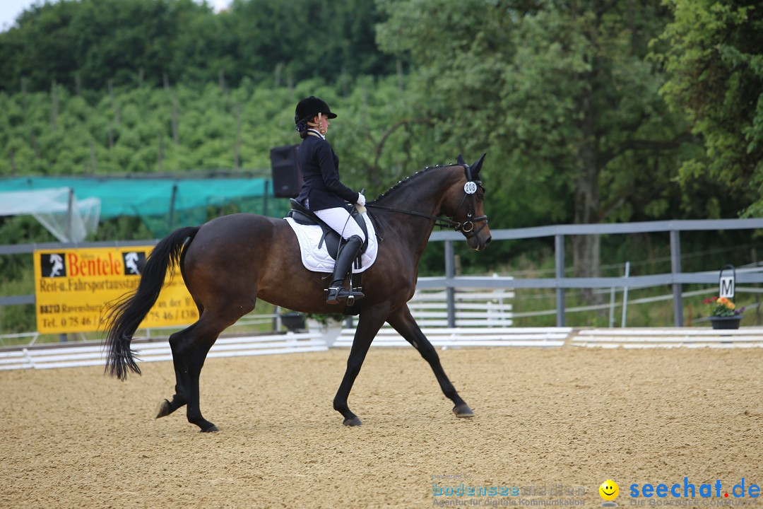 Reitturnier-Ueberlingen-28-06-2014-Bodensee-Community-SEECHAT_DE-IMG_5251.JPG