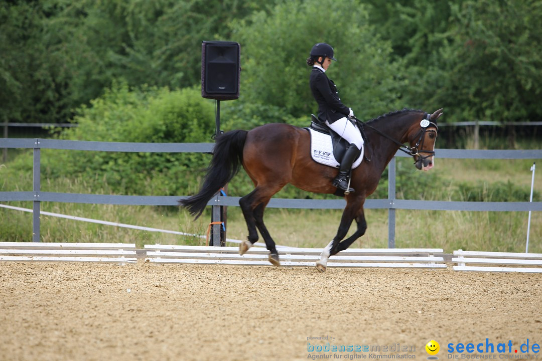 Reitturnier-Ueberlingen-28-06-2014-Bodensee-Community-SEECHAT_DE-IMG_5256.JPG