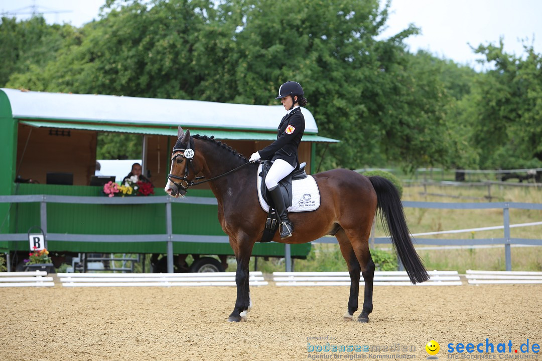 Reitturnier-Ueberlingen-28-06-2014-Bodensee-Community-SEECHAT_DE-IMG_5257.JPG