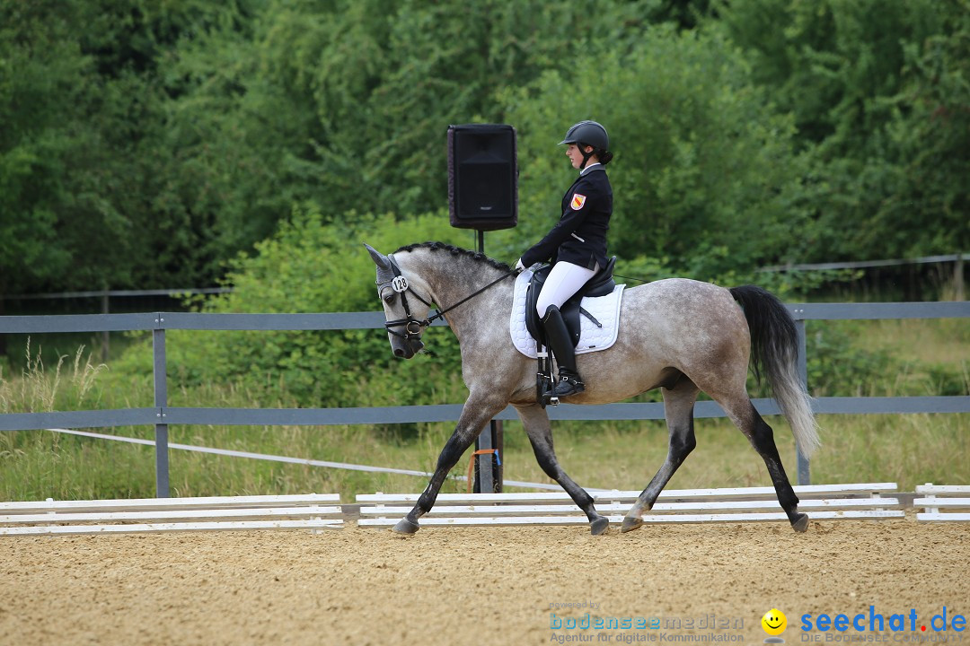 Reitturnier-Ueberlingen-28-06-2014-Bodensee-Community-SEECHAT_DE-IMG_5268.JPG