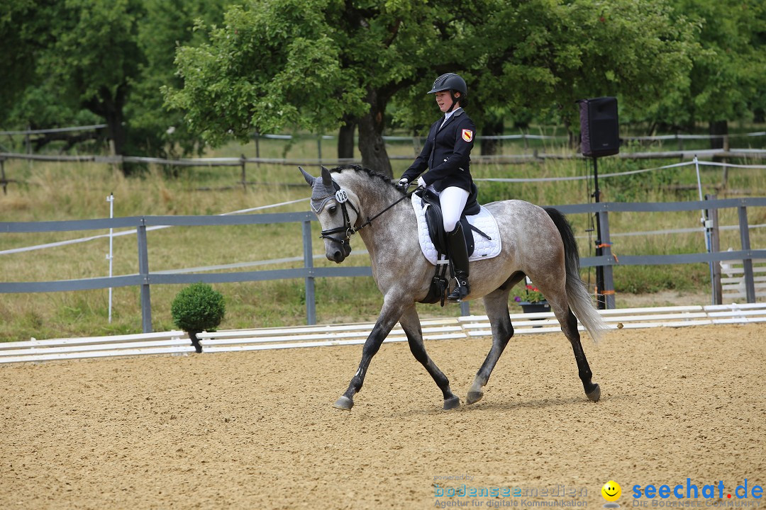 Reitturnier-Ueberlingen-28-06-2014-Bodensee-Community-SEECHAT_DE-IMG_5274.JPG