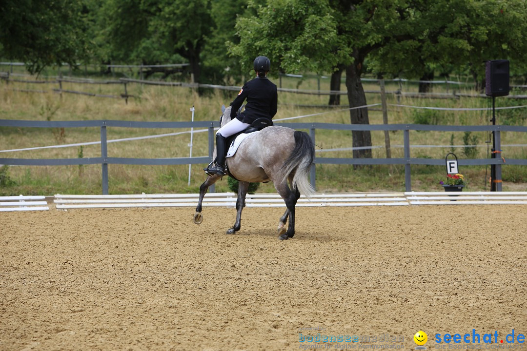 Reitturnier-Ueberlingen-28-06-2014-Bodensee-Community-SEECHAT_DE-IMG_5279.JPG