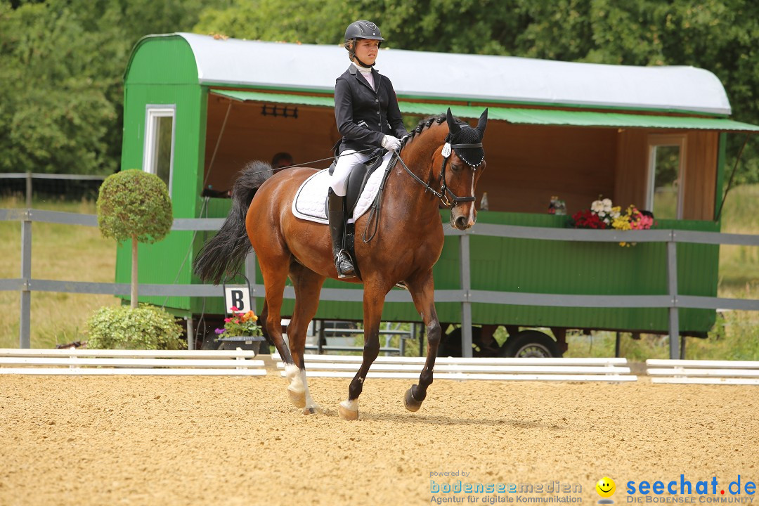 Reitturnier-Ueberlingen-28-06-2014-Bodensee-Community-SEECHAT_DE-IMG_5304.JPG