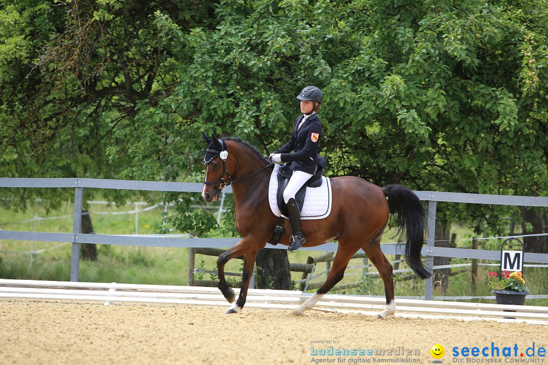 Reitturnier-Ueberlingen-28-06-2014-Bodensee-Community-SEECHAT_DE-IMG_5307.JPG