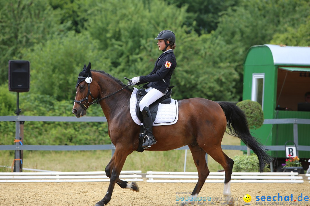 Reitturnier-Ueberlingen-28-06-2014-Bodensee-Community-SEECHAT_DE-IMG_5309.JPG