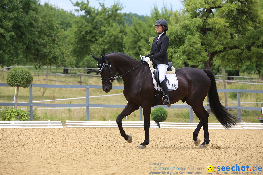 Reitturnier-Ueberlingen-28-06-2014-Bodensee-Community-SEECHAT_DE-IMG_5311.JPG