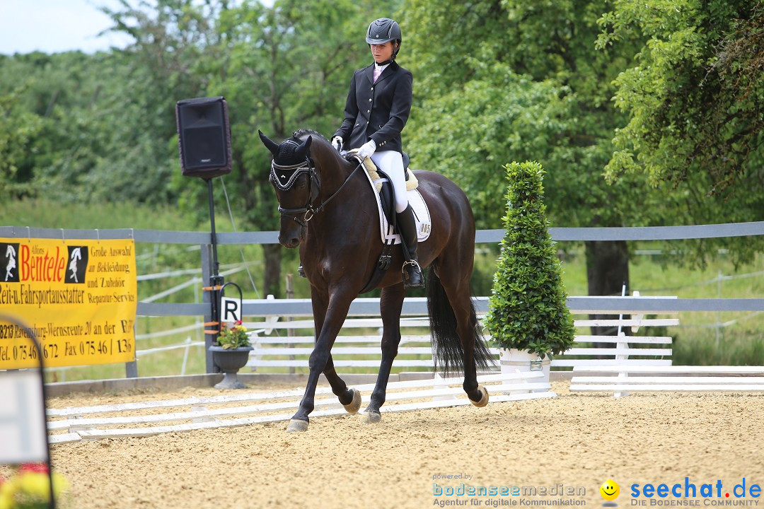 Reitturnier-Ueberlingen-28-06-2014-Bodensee-Community-SEECHAT_DE-IMG_5319.JPG