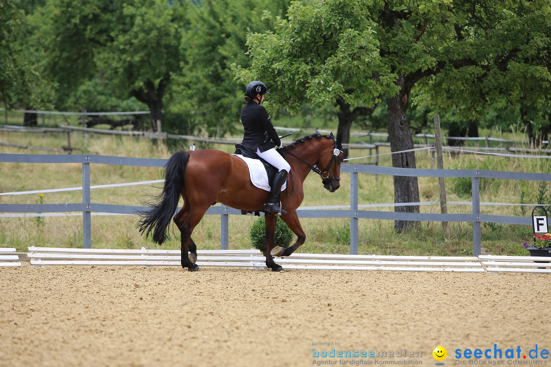 Reitturnier-Ueberlingen-28-06-2014-Bodensee-Community-SEECHAT_DE-IMG_5329.JPG