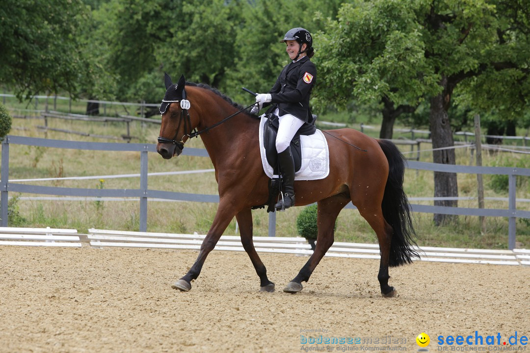 Reitturnier-Ueberlingen-28-06-2014-Bodensee-Community-SEECHAT_DE-IMG_5330.JPG