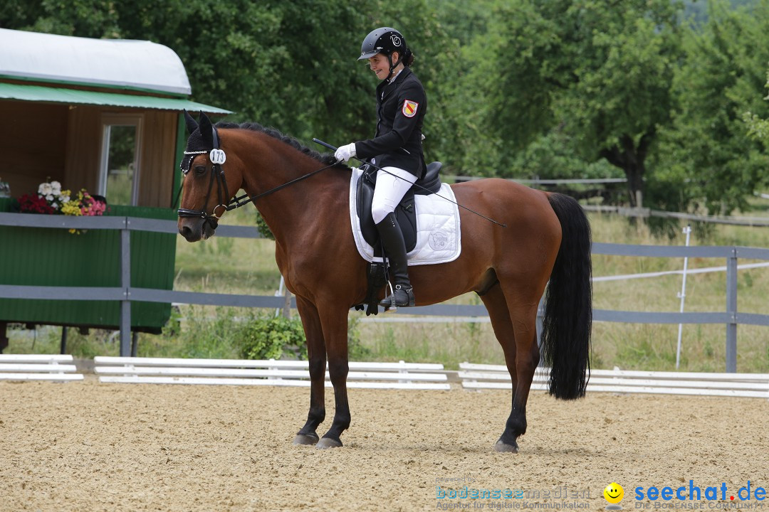 Reitturnier-Ueberlingen-28-06-2014-Bodensee-Community-SEECHAT_DE-IMG_5331.JPG