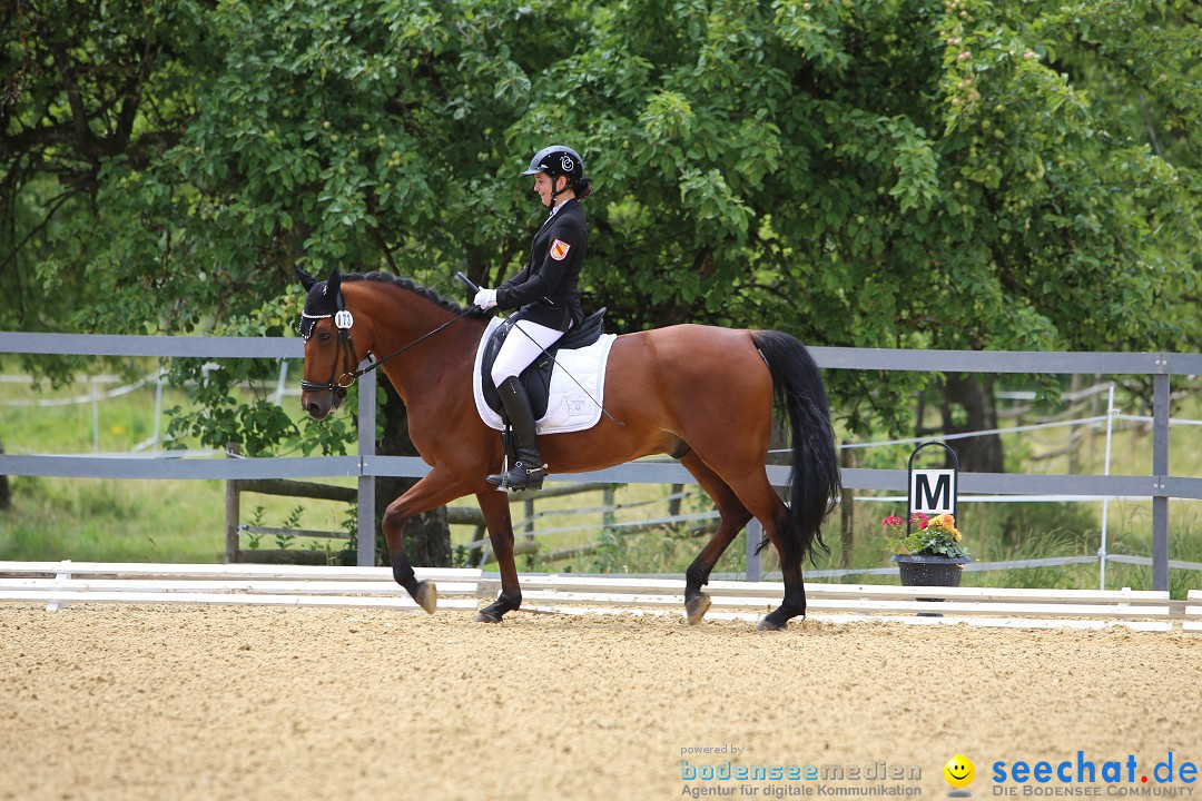 Reitturnier-Ueberlingen-28-06-2014-Bodensee-Community-SEECHAT_DE-IMG_5333.JPG