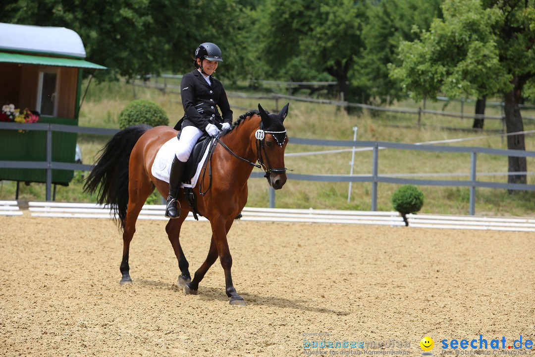 Reitturnier-Ueberlingen-28-06-2014-Bodensee-Community-SEECHAT_DE-IMG_5337.JPG