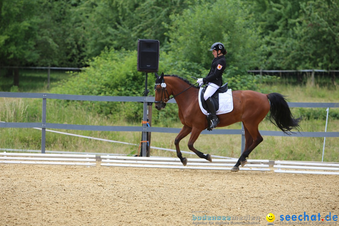 Reitturnier-Ueberlingen-28-06-2014-Bodensee-Community-SEECHAT_DE-IMG_5340.JPG