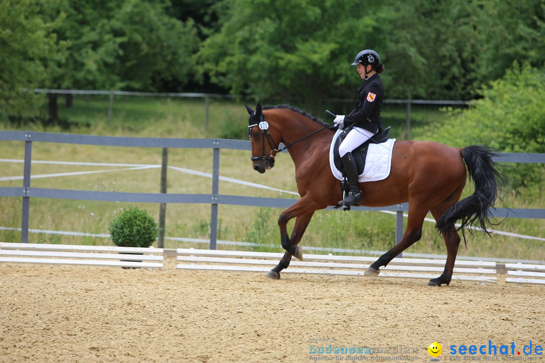 Reitturnier-Ueberlingen-28-06-2014-Bodensee-Community-SEECHAT_DE-IMG_5341.JPG