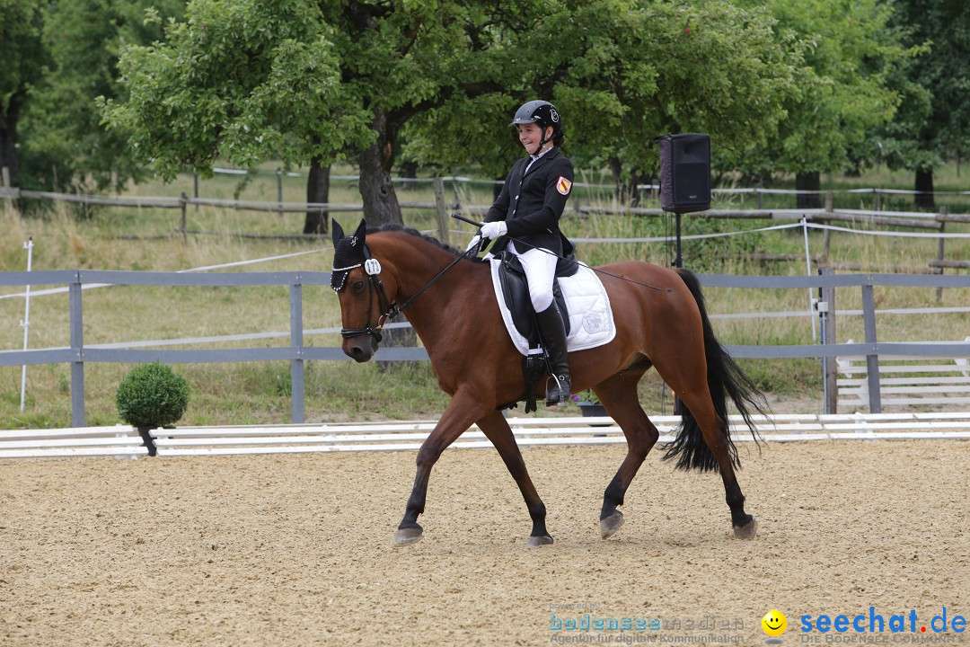 Reitturnier-Ueberlingen-28-06-2014-Bodensee-Community-SEECHAT_DE-IMG_5346.JPG