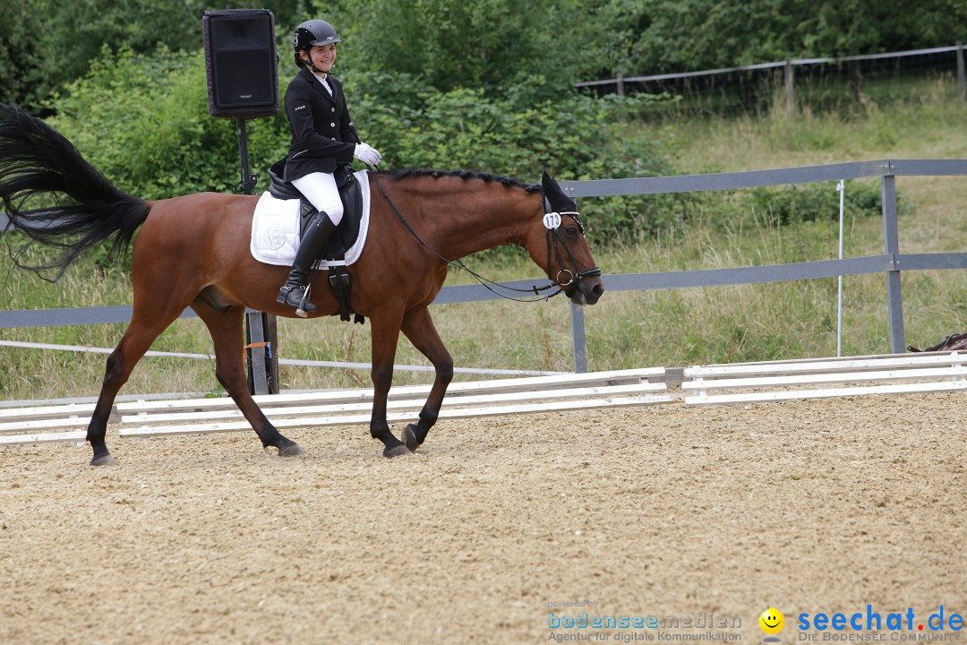 Reitturnier-Ueberlingen-28-06-2014-Bodensee-Community-SEECHAT_DE-IMG_5351.JPG