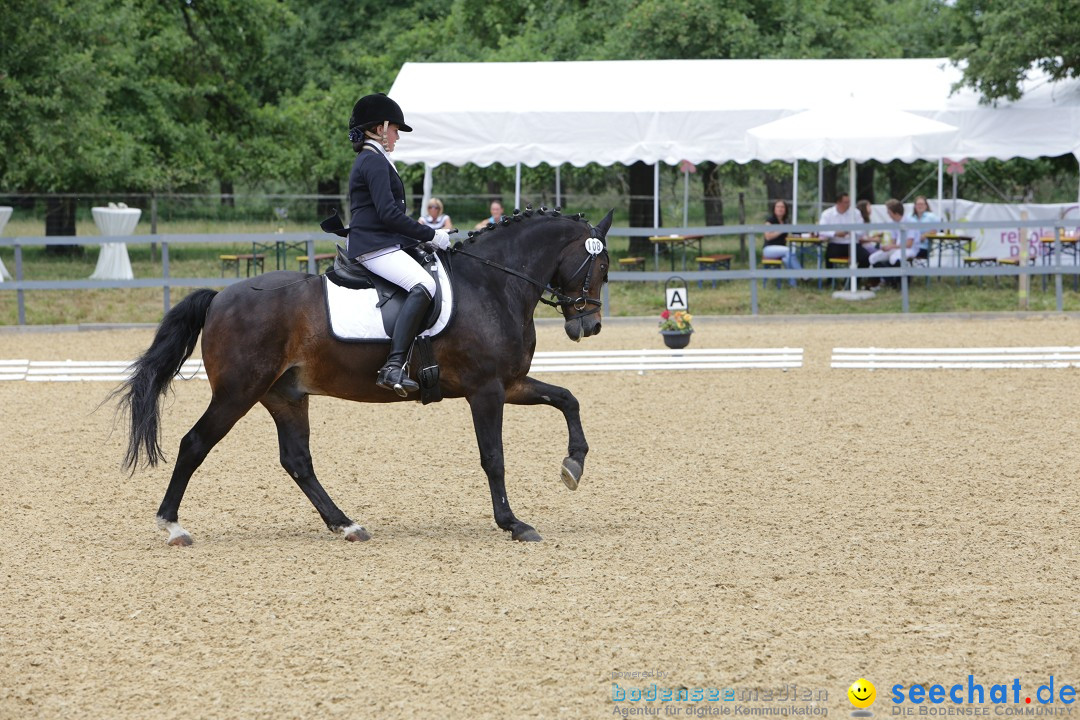 Reitturnier-Ueberlingen-28-06-2014-Bodensee-Community-SEECHAT_DE-IMG_5352.JPG