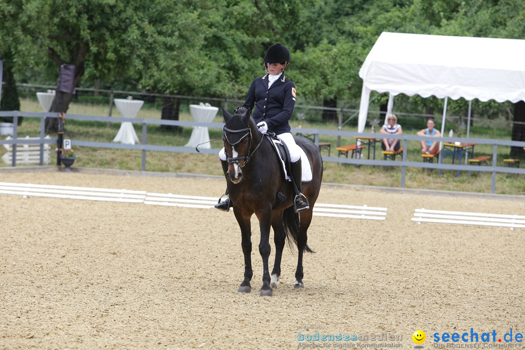 Reitturnier-Ueberlingen-28-06-2014-Bodensee-Community-SEECHAT_DE-IMG_5357.JPG