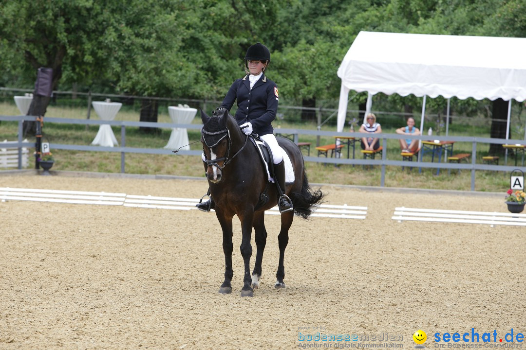 Reitturnier-Ueberlingen-28-06-2014-Bodensee-Community-SEECHAT_DE-IMG_5358.JPG