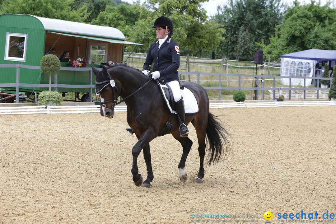 Reitturnier-Ueberlingen-28-06-2014-Bodensee-Community-SEECHAT_DE-IMG_5360.JPG