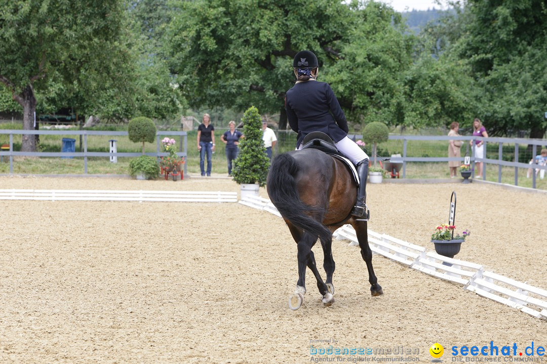 Reitturnier-Ueberlingen-28-06-2014-Bodensee-Community-SEECHAT_DE-IMG_5361.JPG