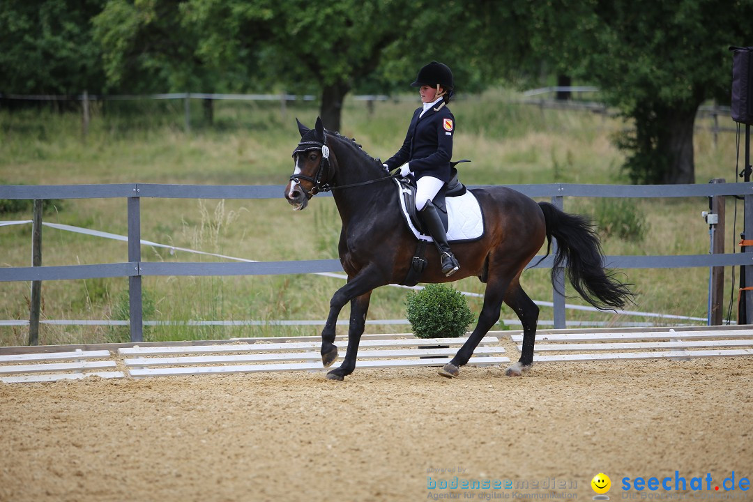 Reitturnier-Ueberlingen-28-06-2014-Bodensee-Community-SEECHAT_DE-IMG_5368.JPG